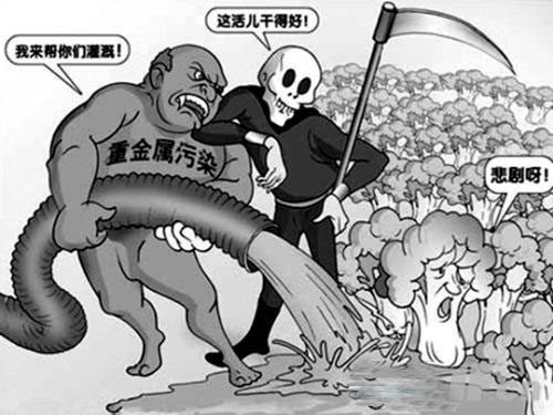 嚴(yán)重的污染問(wèn)題 嚴(yán)重的污染問(wèn)題