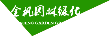 紅星磨粉機(jī)廠(chǎng)家